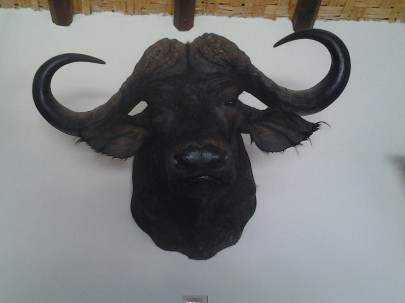 Сергей Свириденко | Киев