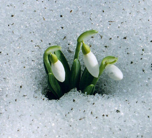 Елена Светикова | Тюмень