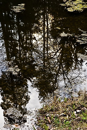 Дмитрий Слишкомредкая DLK | Санкт-Петербург