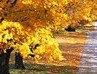 Никита Казаков | Северодвинск