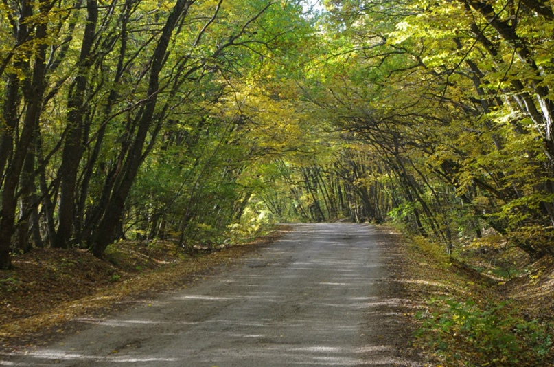 Наталья Гладышева | Феодосия