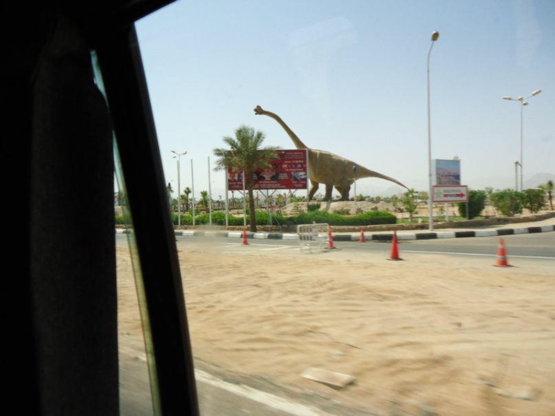 Серёжа Баранов | Днепр (Днепропетровск)