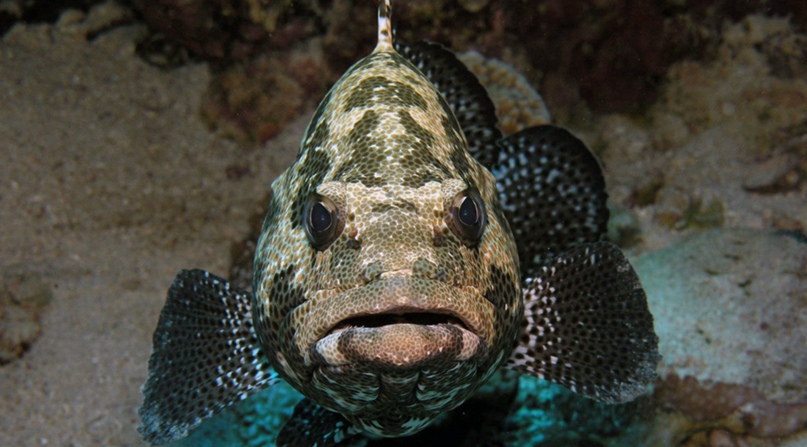 Кирилл Родионов | Казань