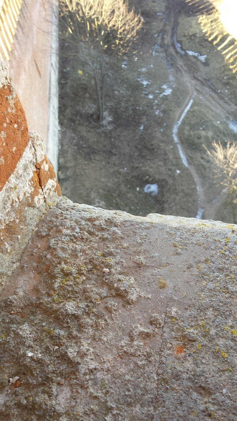 Светлана Одинцова | Орёл