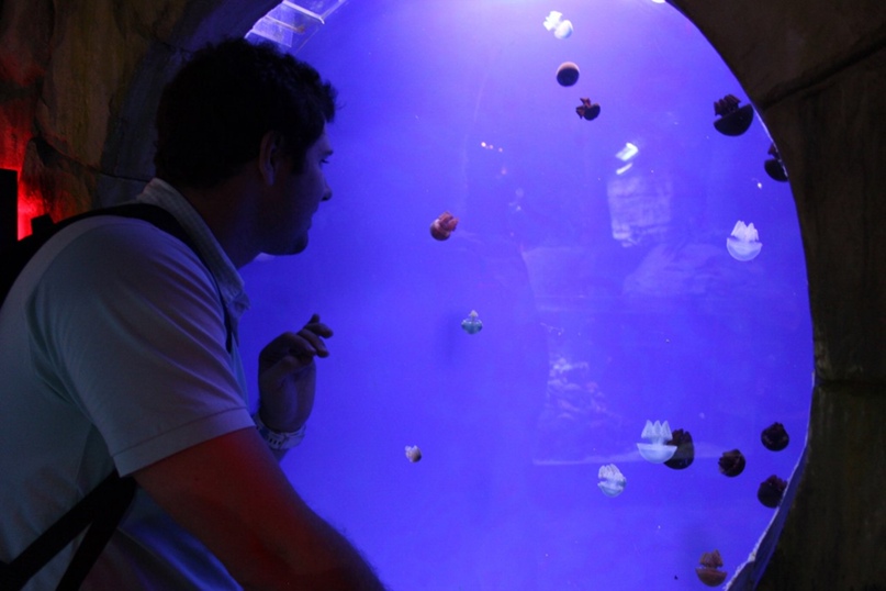 Иван Ефимчук | Москва