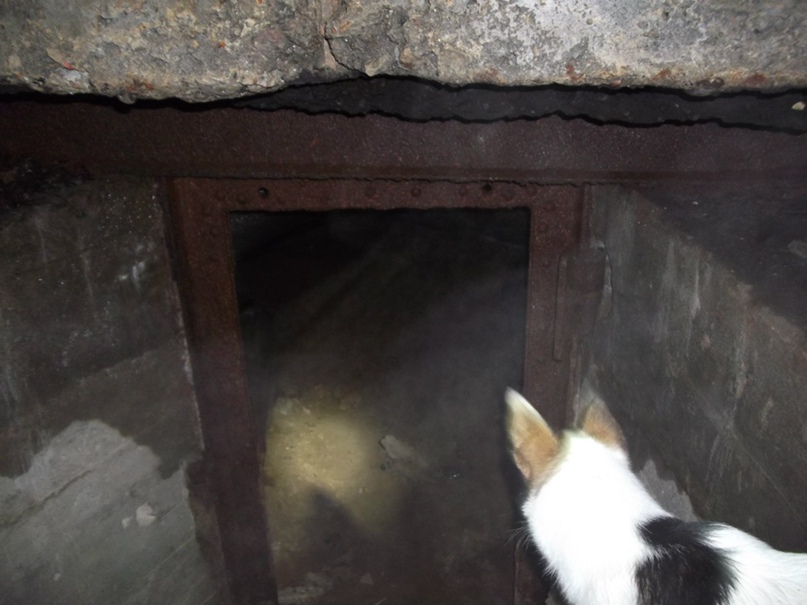 Павел Кузнецов | Санкт-Петербург