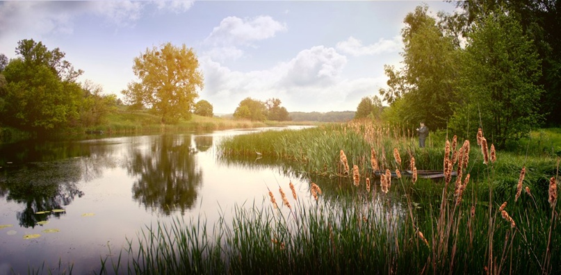 Александр Решетник | Черкассы