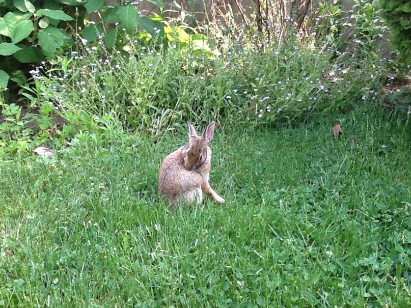 Irina Solk | Санкт-Петербург