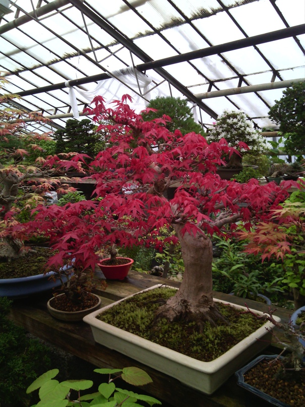 Сергей Камышов | Москва