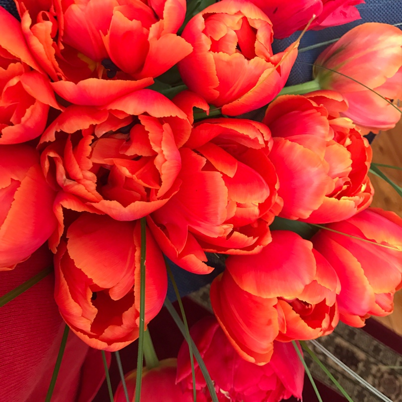 Лейла Гаджиева | Махачкала