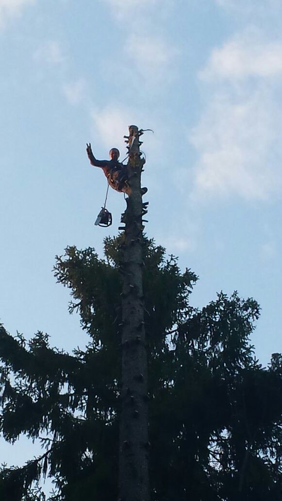 Вадим Евдокимов | Луга