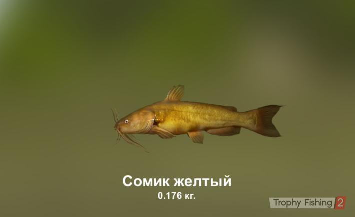 Руслан Фаткуллин | Магнитогорск