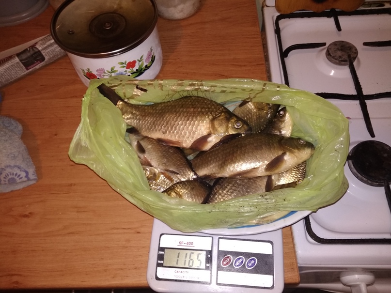 Александр Якубчак | Бахмут / Артемовск