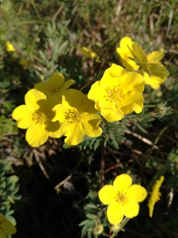 Марина Лескина | Анадырь