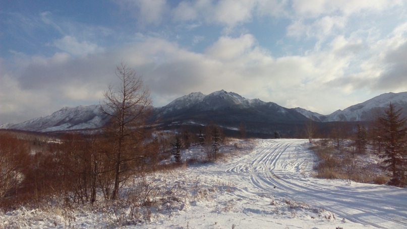 Павел Онищенко | Каменск-Шахтинский