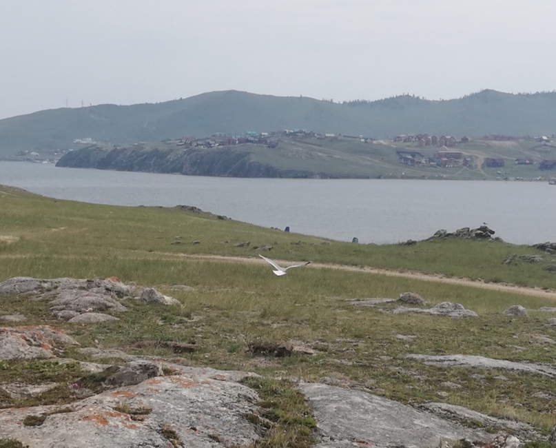 Максим Маркин | Давыдово