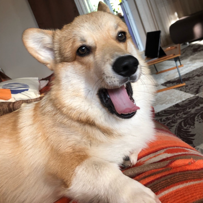 Дарья Авдеева | Новосибирск