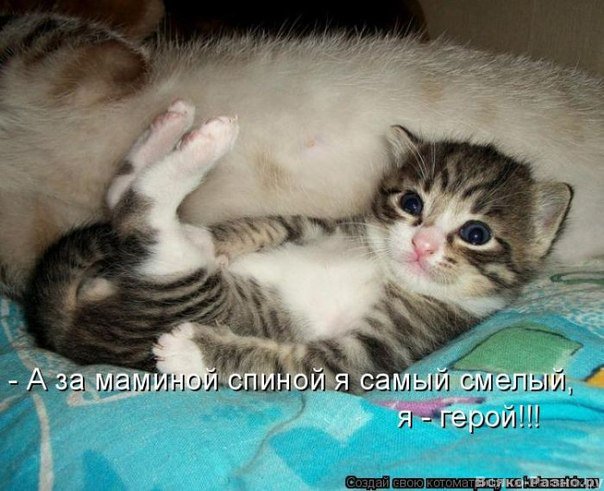 Андрей Беляев пофигист | Воронеж
