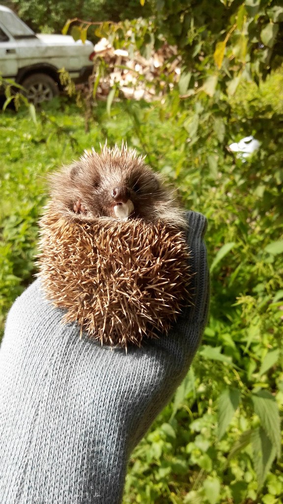 Александра Алёшина ♥♥♥ | Псков