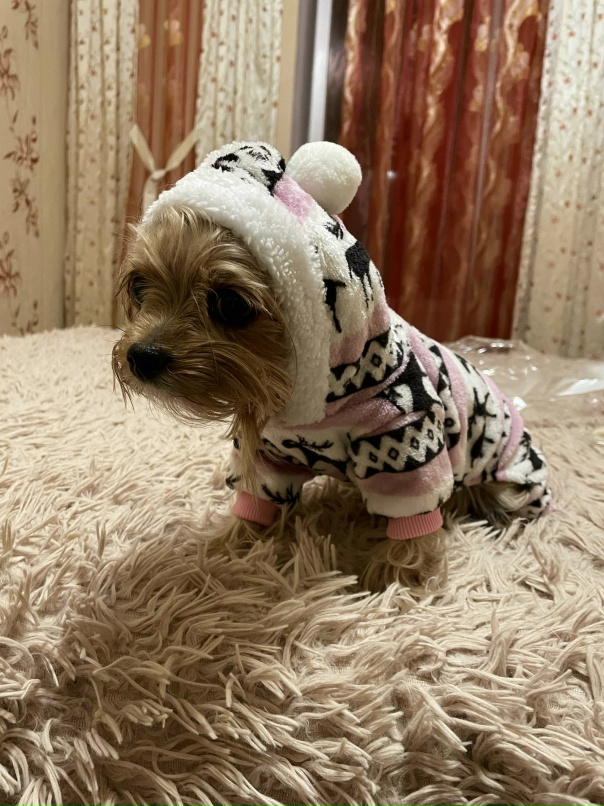 Анастасия Василевская | Уфа