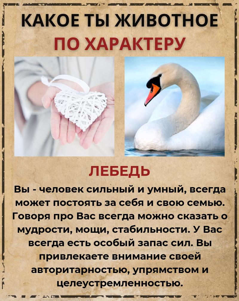 Анастасия Проскурина | Воронеж