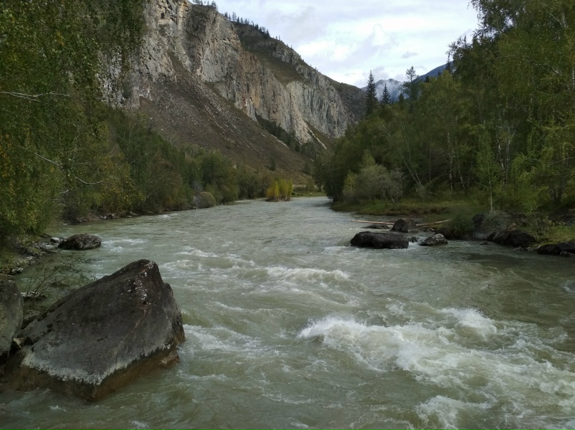 Мария Соболевская | Барнаул