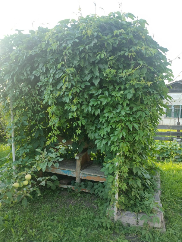 Мария Леонтьева | Челябинск