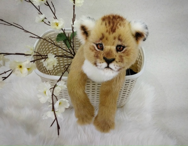 Львёнок Кензо? сшит из искуственного меха.