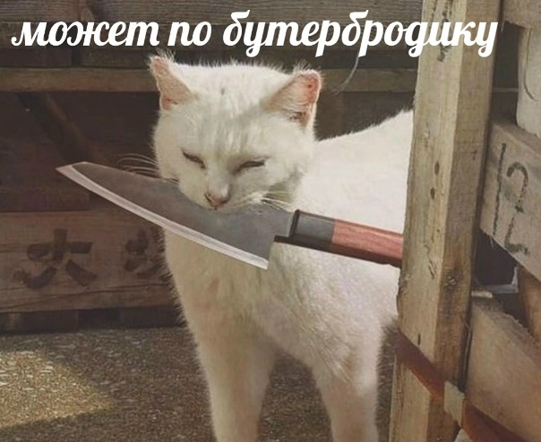 вот он кормилец