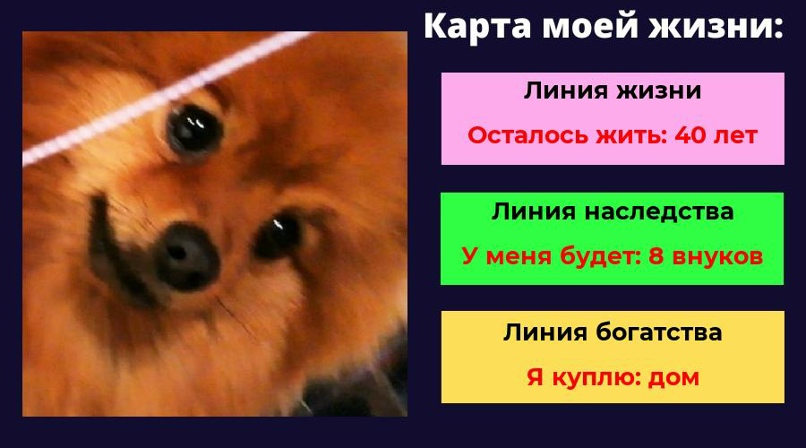 Альбина Мухаметова | Уфа