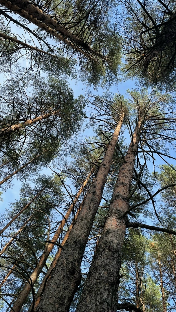 Оксана Черняк |