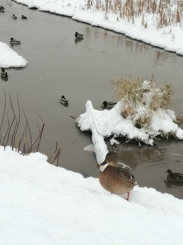 Надежда Князева | Арзамас