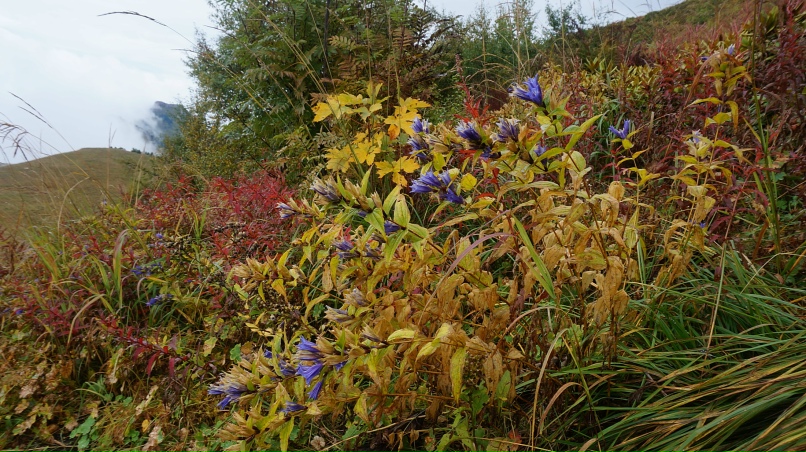 Татьяна Оноприенко | Санкт-Петербург