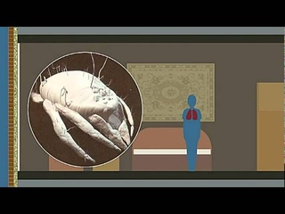 Чем мы дышим дома? Жесть! Как оно есть...........................