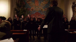 Entre le boeuf et l'ne gris (Satz: Franois-Auguste Gevaert) -  Vokalensemble Sequenz Halle